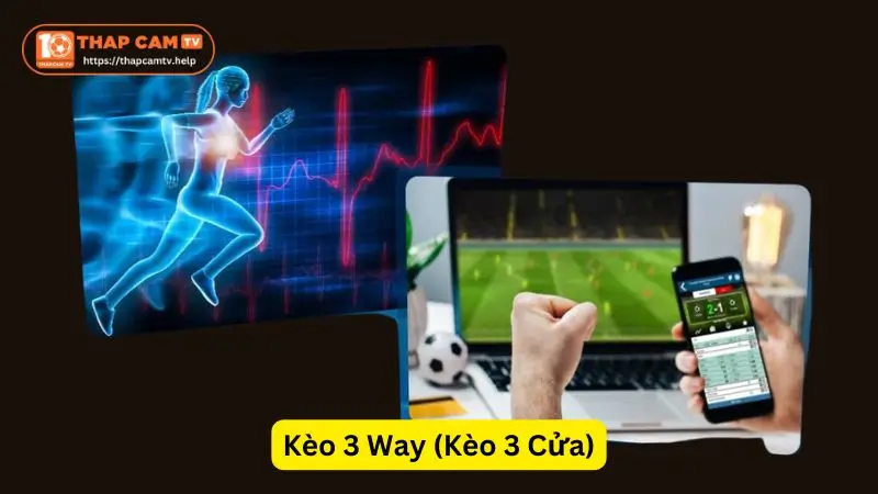 Kèo 3 Way (Kèo 3 Cửa) ThapcamTV