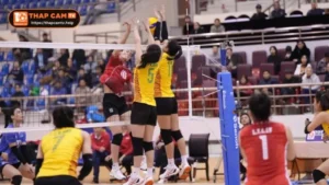 Bóng Chuyền Việt Nam Tham Gia FIVB 2025 - ThapcamTV