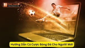 Hướng Dẫn Cá Cược Bóng Đá Cho Người Mới