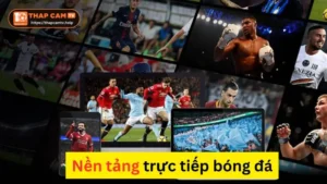 ThapcamTV Nền Tảng Trực Tiếp Bóng Đá Hấp Dẫn Ở Việt Nam