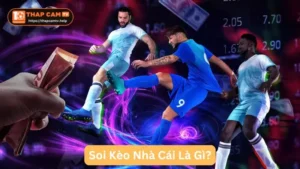 ThapcamTV Soi Kèo Nhà Cái Là Gì